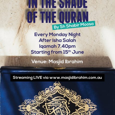 In the Shade of the Qur'an